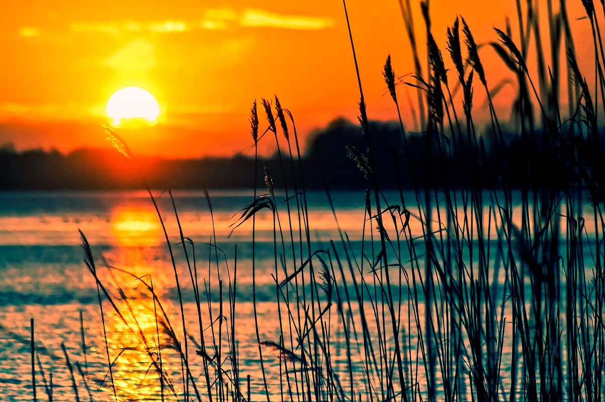 albufera-atardecer-opti