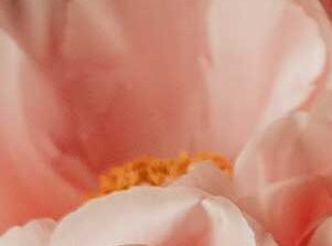 mujer-con-flores