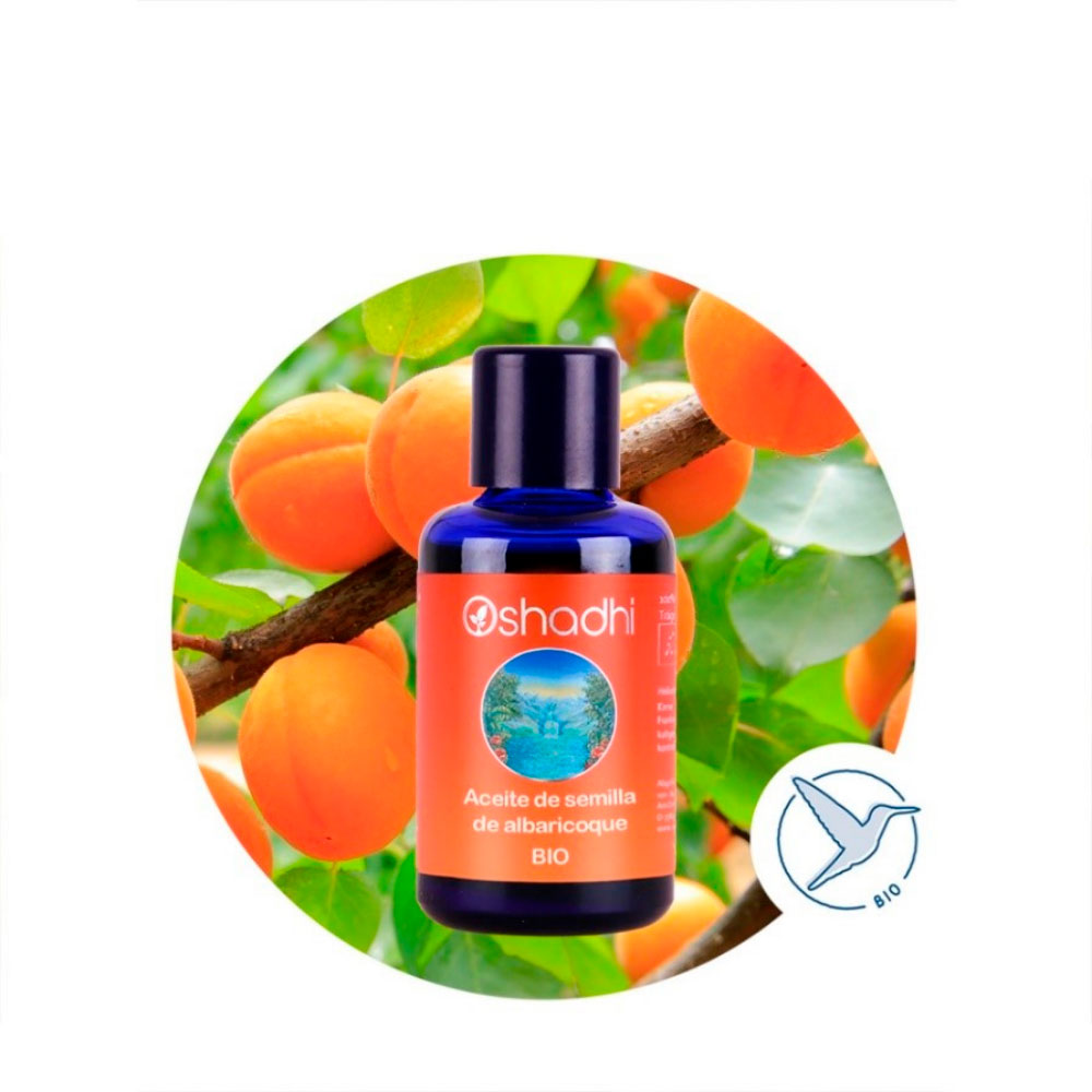 AV-semillas_albaricoque Aceite Vegetal de semilla de Albaricoque - Imagen 1