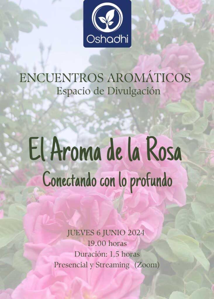 El-aroma-de-la-rosa