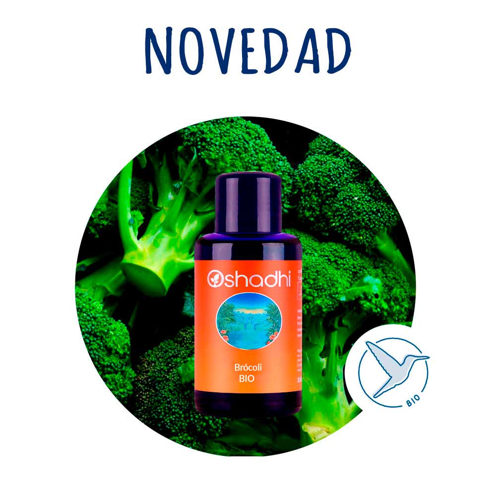 Brocoli-AV-Novedades-opti Aceite Vegetal de Brócoli, semillas. - Imagen 1