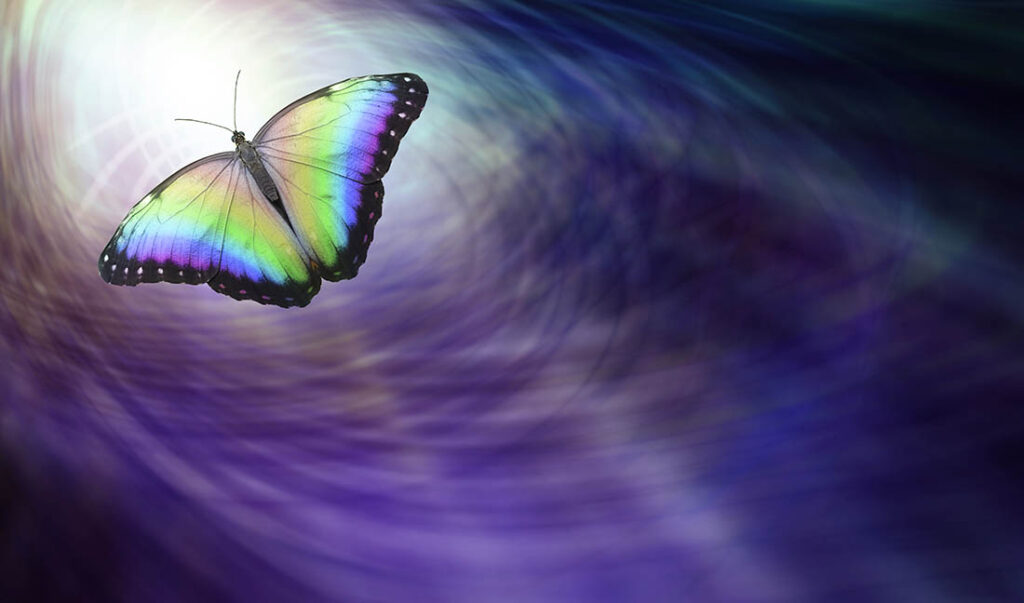 MARIPOSAS