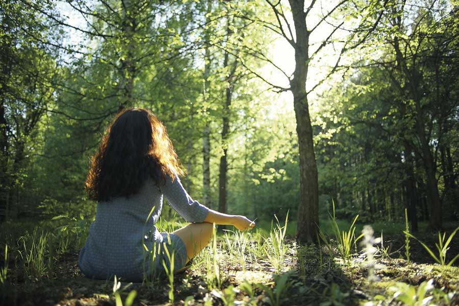 Meditation-forest